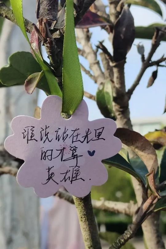 待疫情消散 共赴春光无限