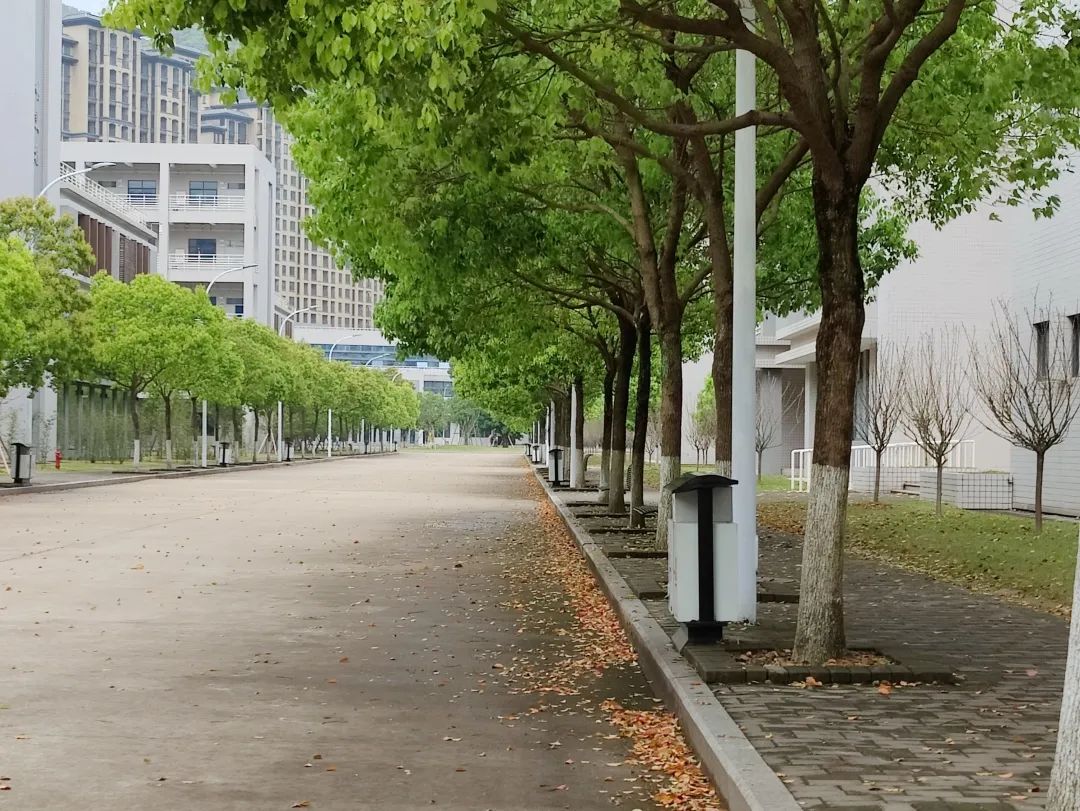 春雨淅沥，商学院党委喊你线下复课啦