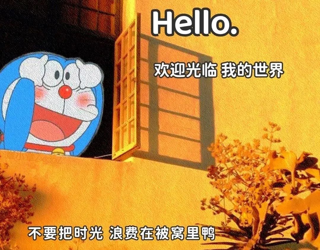 致那些年，我们在这“理”一起走过的青春