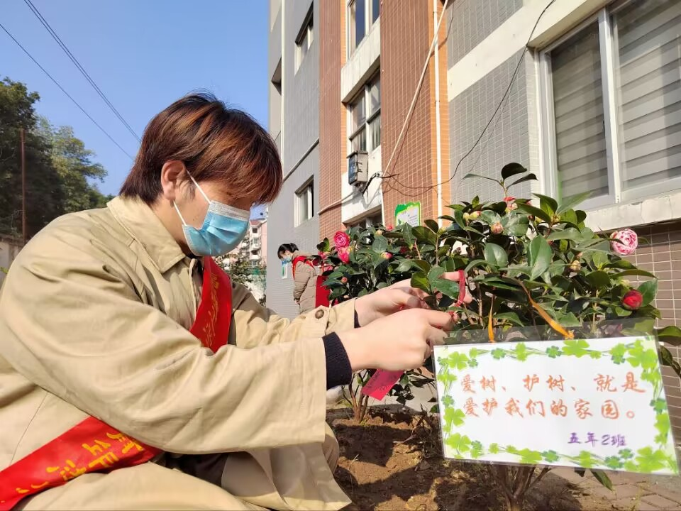 植树春风里 且看山河绿|植树绿化校园 暖心献上祝福