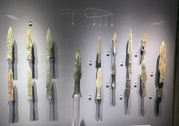 脚踏实地 知行合一|经济管理学院学子暑期社会实践风采展