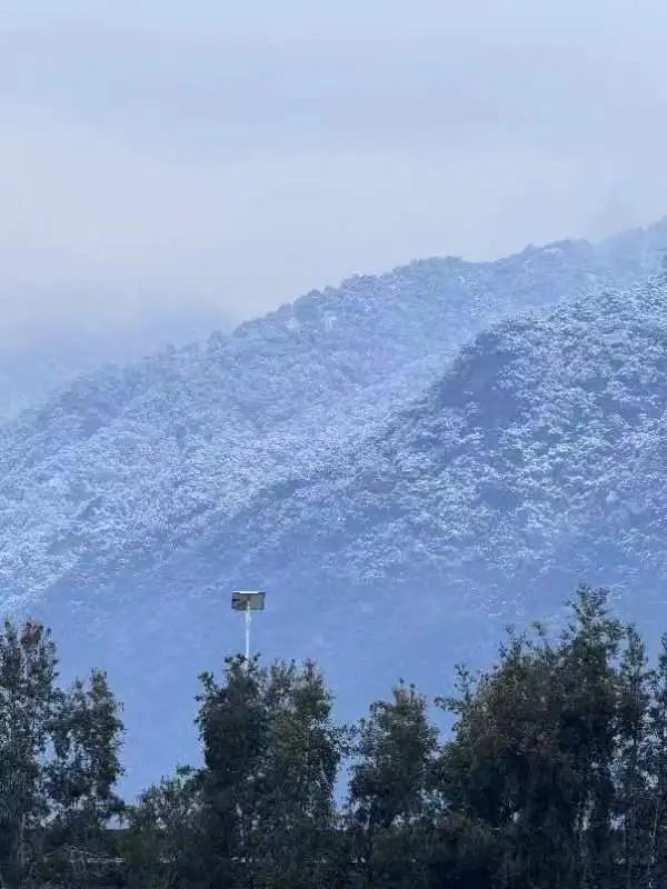 福！州！理！工！下！雪！啦！