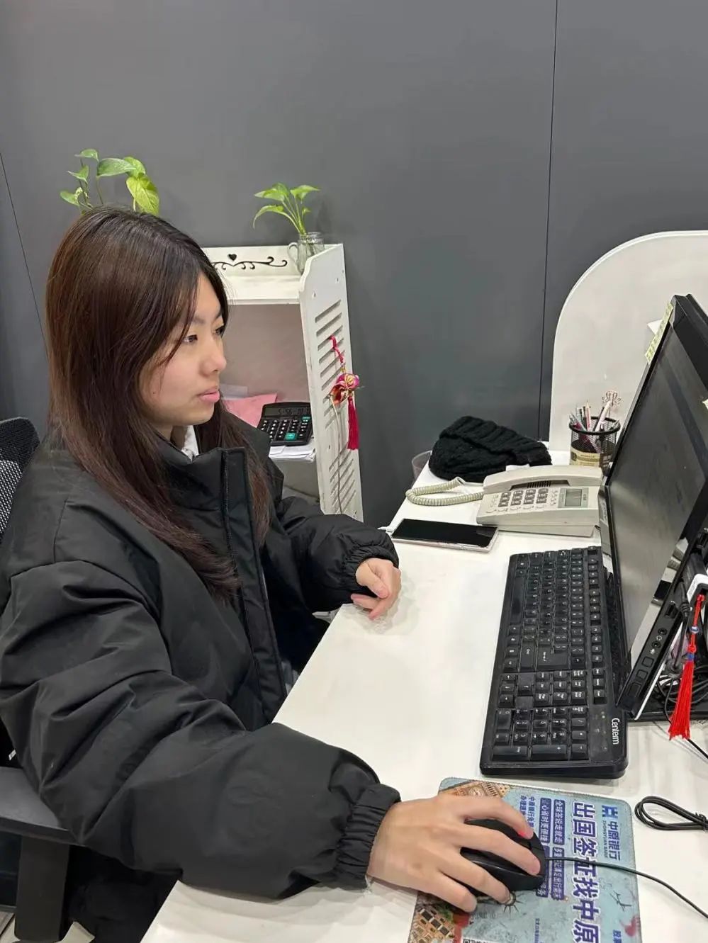 以青春之名 赴家乡之约|经济管理学院寒假社会实践展示（三）