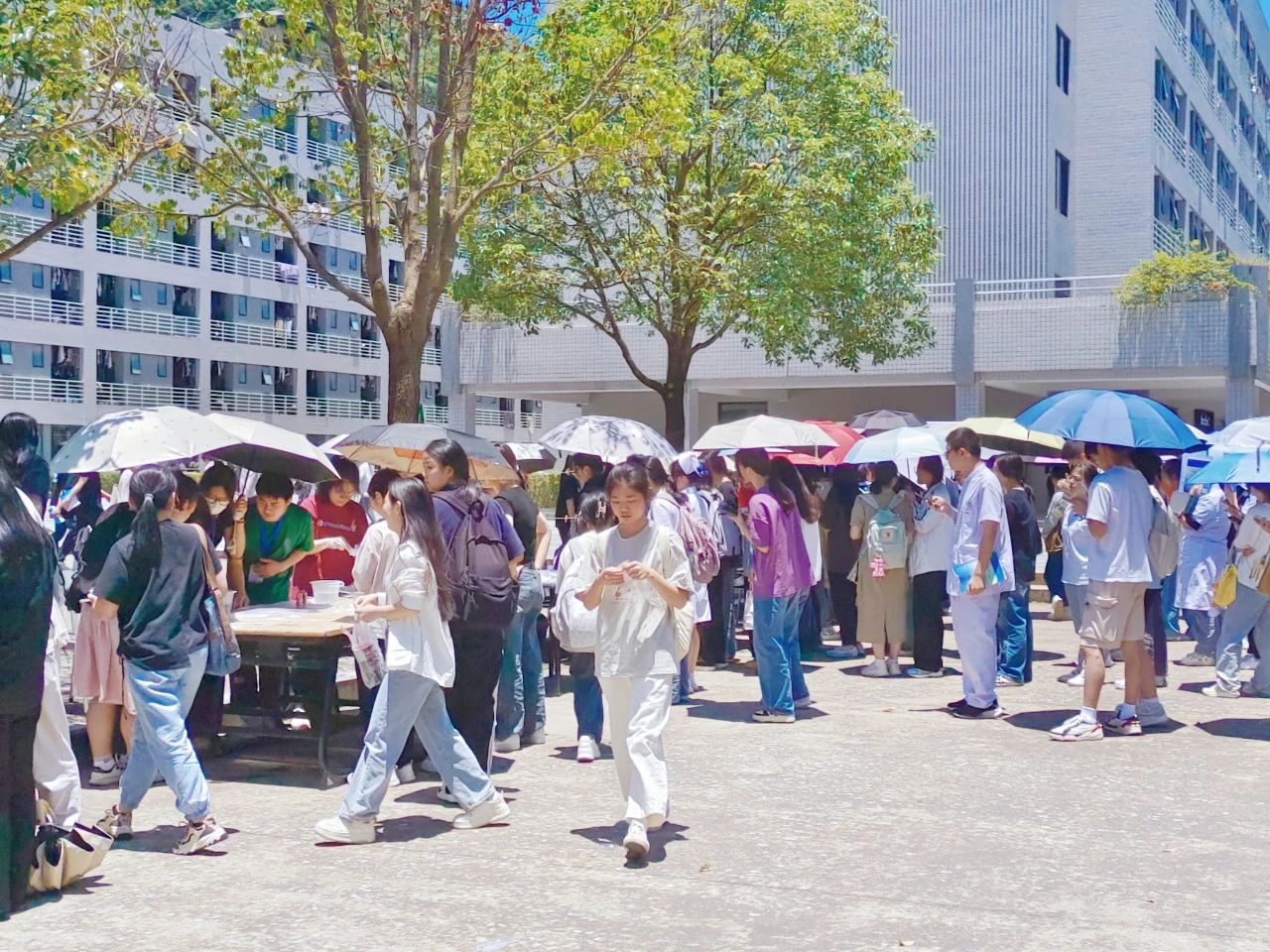 非遗之美 妙“布”可言|邂逅传承千年的斑斓色彩