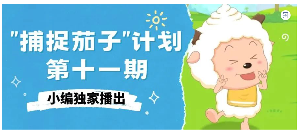 “捕捉茄子”|将快乐传递下去(十一）