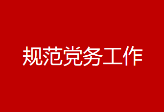 规范党务工作，夯实培养基础