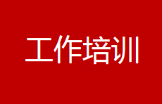 以文铸魂强党性 规范材料严发展